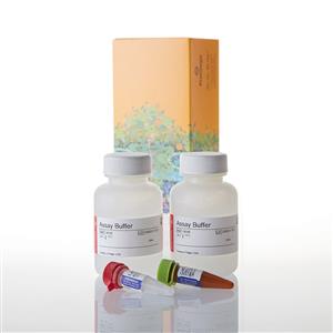 G8743 | CellTox(TM) Green Cytotoxicity Assay
