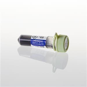 G8781 | Magne Protein A Beads 20 Slurry