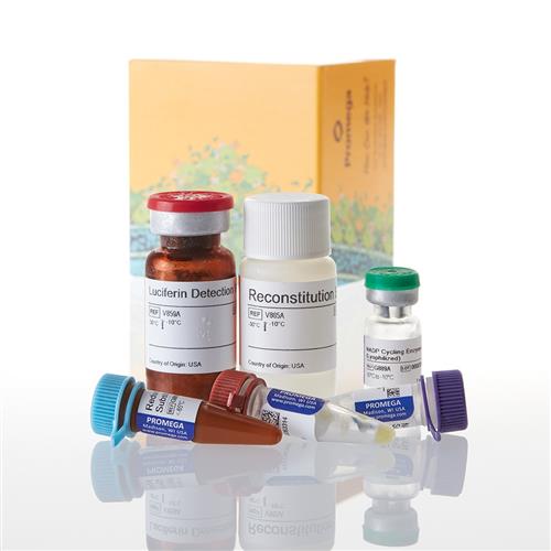 G9081 | NADP/NADPH-Glo(TM) Assay