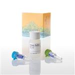 G9200 | MultiTox-Fluor Multiplex Cytotoxicity Assay