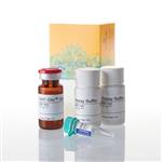 G9290 | CytoTox-Glo(TM) Cytotoxicity Assay