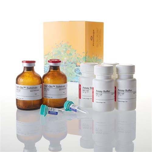 G9292 | CytoTox-Glo(TM) Cytotoxicity Assay