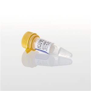 G9661 | pFC14K HaloTag CMV Flexi Vector