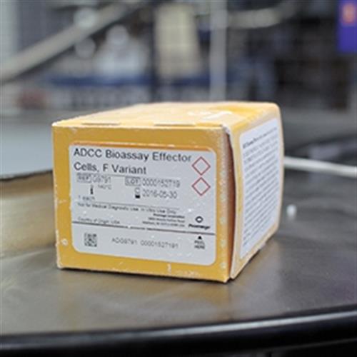 G9790 | ADCC Reporter Bioassay