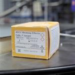 G9790 | ADCC Reporter Bioassay