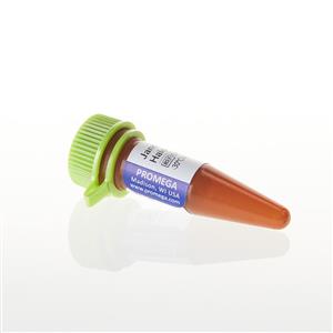 GA1110 | Janelia Fluor(R) 549 HaloTag(R) Ligand