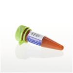 GA1110 | Janelia Fluor(R) 549 HaloTag(R) Ligand