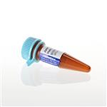 GA1120 | Janelia Fluor(R) 646 HaloTag(R) Ligand