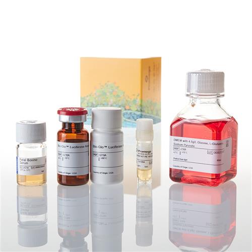 GA2001 | VEGF Reporter Bioassay