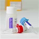 GA2550 | Autophagy LC3 HiBiT Reporter Vector and Detection System