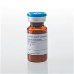 GA5010 | RealTime-Glo(TM)  Extracellular ATP Assay