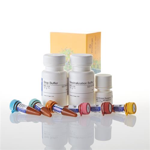 J1341 | Glucose Uptake-Glo(TM) Assay