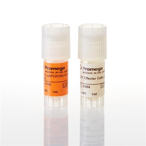 J2092 | TIGIT CD155 Blockade Bioassay CPM