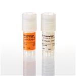 J2092 | TIGIT CD155 Blockade Bioassay CPM