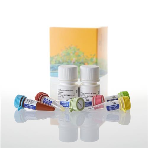 J8021 | Glutamine/Glutamate-Glo(TM) Assay