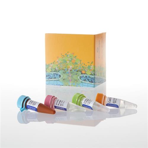 JA1001 | RealTime(TM) Annexin V Apoptosis Assay