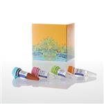 JA1001 | RealTime(TM) Annexin V Apoptosis Assay