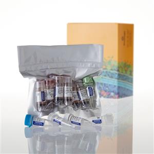 L1170 | TNT T7 Quick Coupled Transcription Trans