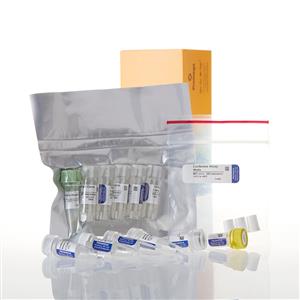 L4130 | TNT SP6 Coupled Wheat Germ Extract Syste