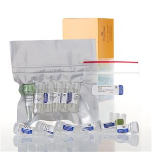 L4140 | TNT T7 Coupled Wheat Germ Extract System