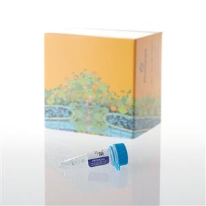 L5061 | Transcend tRNA