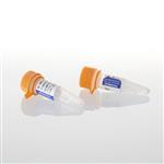 M1701 | M-MLV Reverse Transcriptase