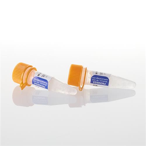 M5313 | M-MLV Reverse Transcriptase Buffer Pack