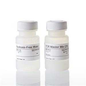 M7505 | PCR Master Mix
