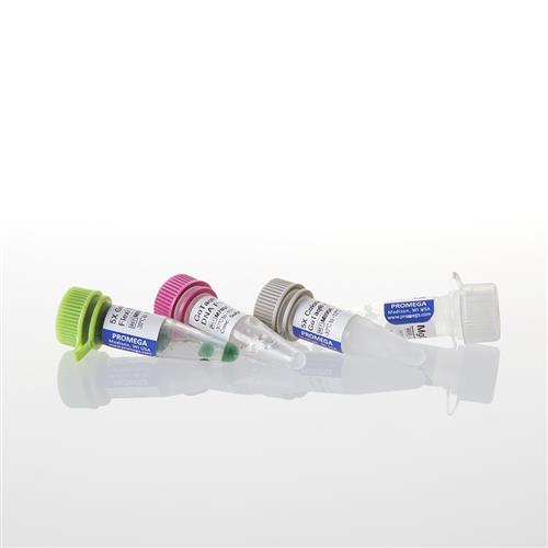 M7801 | GoTaq(R) G2 Flexi DNA Polymerase