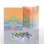 M7808 | GoTaq(R) G2 Flexi DNA Polymerase