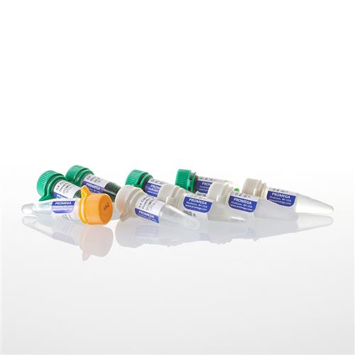 M7845 | GoTaq(R) G2 DNA Polymerase
