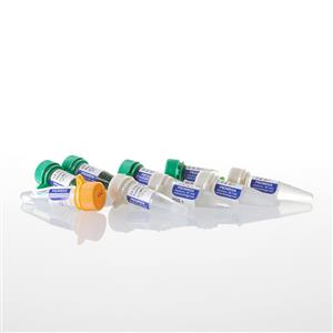 M7845 | GoTaq(R) G2 DNA Polymerase