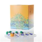 M7848 | GoTaq(R) G2 DNA Polymerase