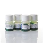 M7911 | 5X Green GoTaq(R) Reaction Buffer