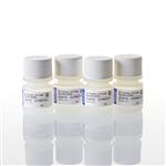 M7921 | 5X Colorless GoTaq(R) Reaction Buffer