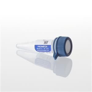 N1221 | Converted Methylated Human Control