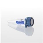 N1221 | Converted Methylated Human Control