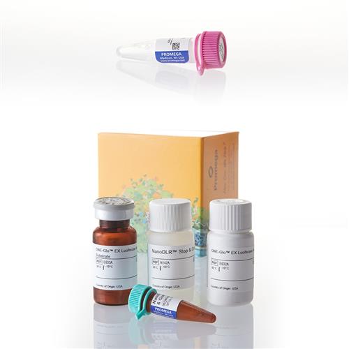 N1521 | Nano-Glo(R) Dual-Luciferase(R) Reporter Asy/pNL1.1.TK Bundle
