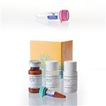 N1521 | Nano-Glo(R) Dual-Luciferase(R) Reporter Asy/pNL1.1.TK Bundle