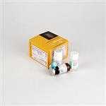 N1610 | Nano-Glo(R) Dual-Luciferase(R) Reporter Assay System