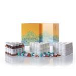 N1630 | Nano Glo Dual Luciferase Reporter Assay