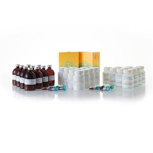 N1650 | Nano Glo Dual Luciferase Reporter Assay