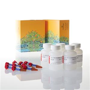 N2013 | Nano-Glo(R) Live Cell Assay System