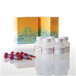 N2013 | Nano-Glo(R) Live Cell Assay System