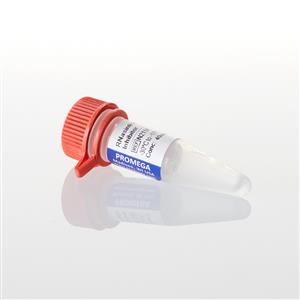 N2111 | RNasin Ribonuclease Inhibitor