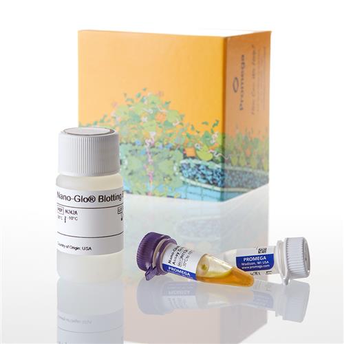 N2410 | Nano Glo HiBiT Blotting System