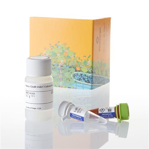 N2420 | Nano-Glo(R) HiBiT Extracellular Detection System