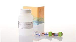 N2421 | Nano Glo HiBiT Extracellular Detection S