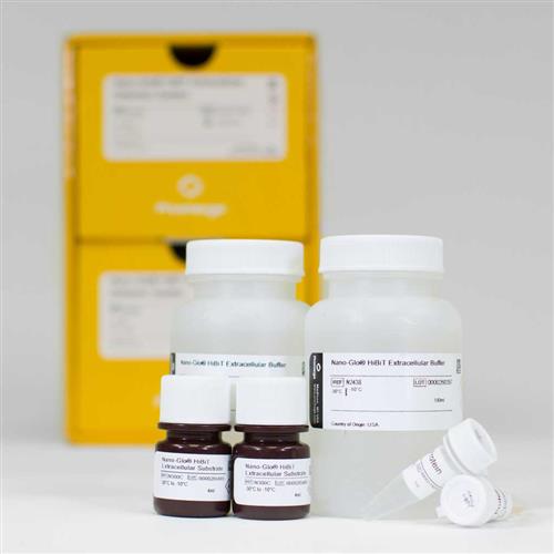 N2422 | Nano Glo HiBiT Extracellular Detection S