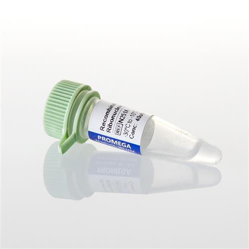 N2511 | Recombinant RNasin(R) RNase Inhibitor